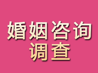 武冈婚姻咨询调查